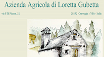 loretta gubetta