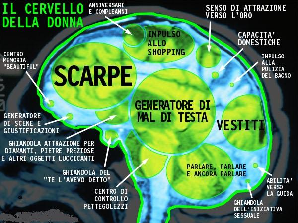 cervello femminile